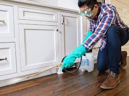 Best Residential Pest Control  in Aberdeen, MS